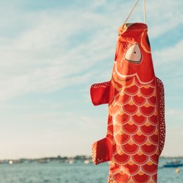 Vibrant red and yellow koinobori-style garland with a fish-like design, perfect for kids' rooms or outdoor decor.