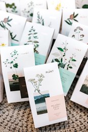 Yarrow Tea - loose tea