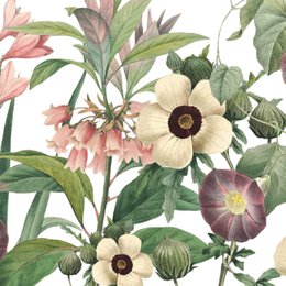 Self-adhesive border "Wildflowers" pink / green on white
