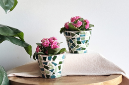 Groen Mix