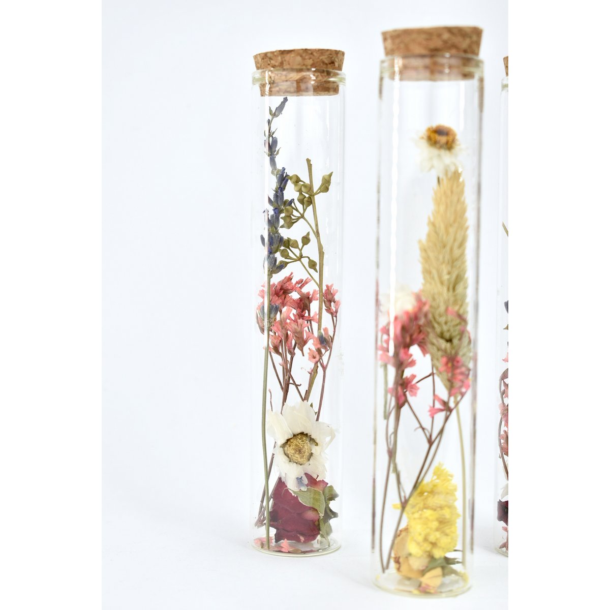 Tubi di fiori secchi - 15 cm