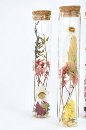 Tubi di fiori secchi - 15 cm