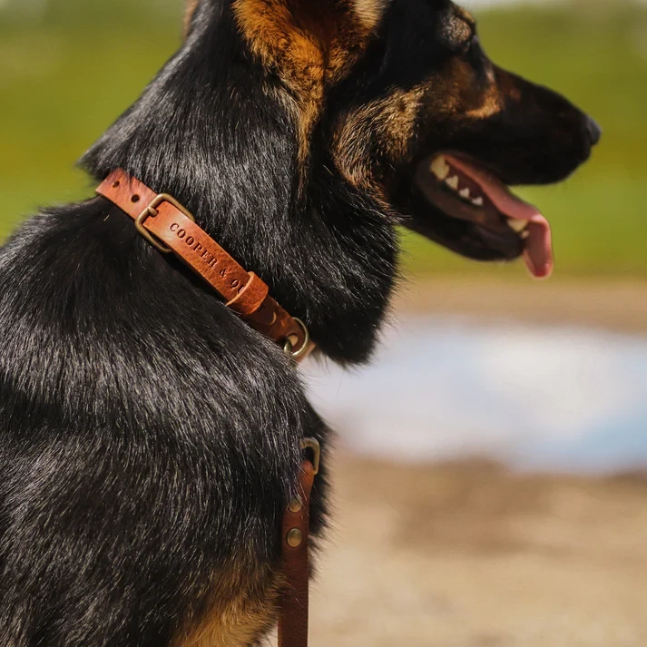 No Fuss Collar Dog Leather Camel