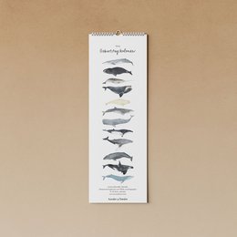 hvaler | evighedskalender