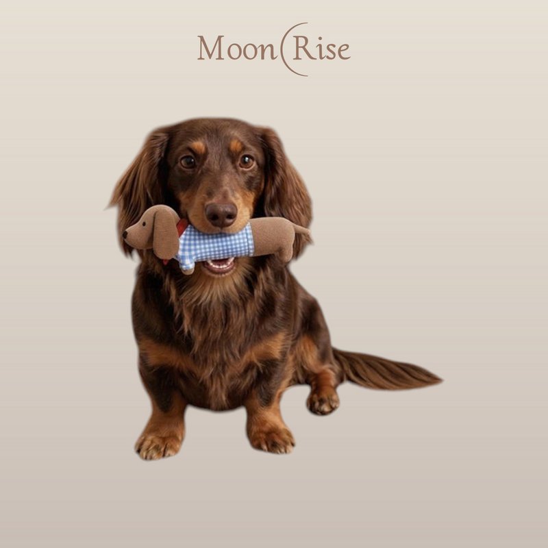 Sausage dog squeaky toy