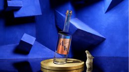 The Drunken Horse Gin