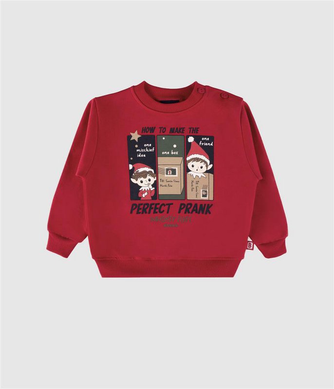 Sweatshirt Perfect Prank