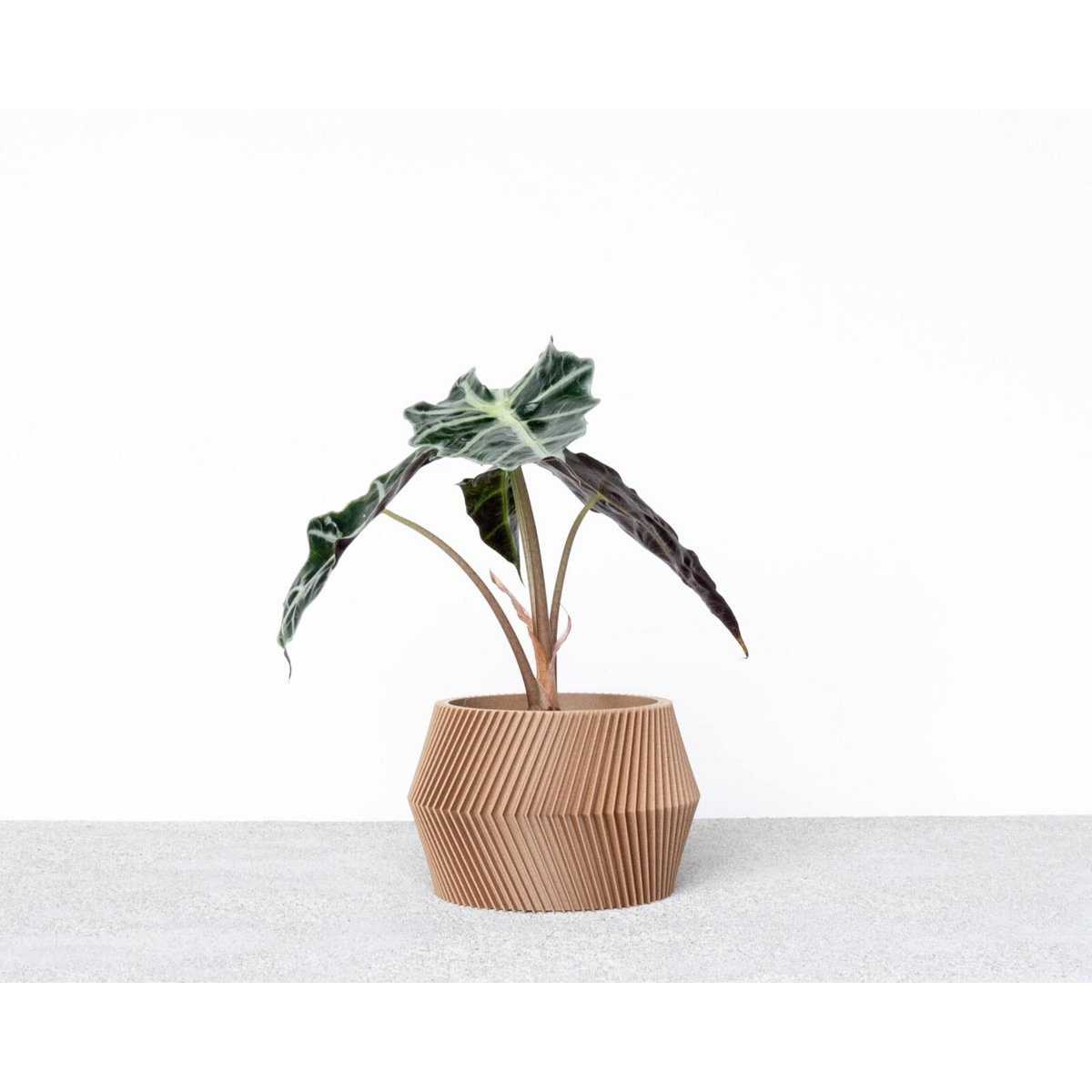 Natural Wood M - 8,5 cm inner diameter