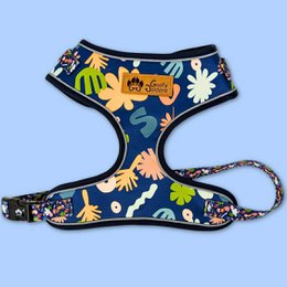 Colorful floral dog harness with adjustable straps and buckle closure. Suitable for small to large dogs. Made of durable, breathable material.