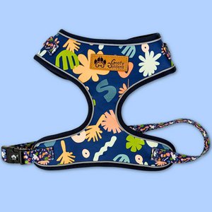 Harnais Classique Deep Agua
