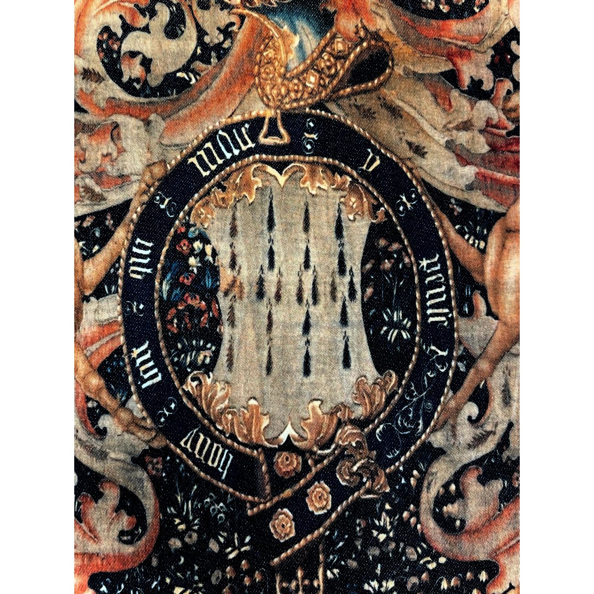 Middeleeuwse heraldiek tapijt gooien kussensloop, donkere Academia decor | MEV001