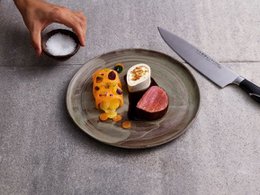 Coltello da chef Iceline