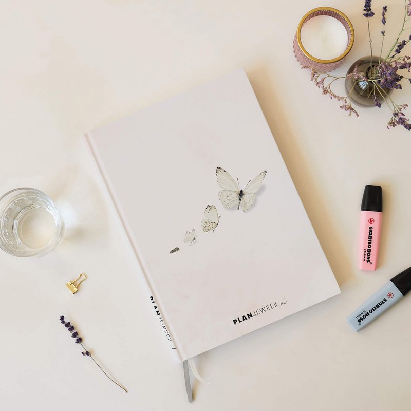 Prikkelarme planner Vlinder - Medium / A5+ ongedateerd