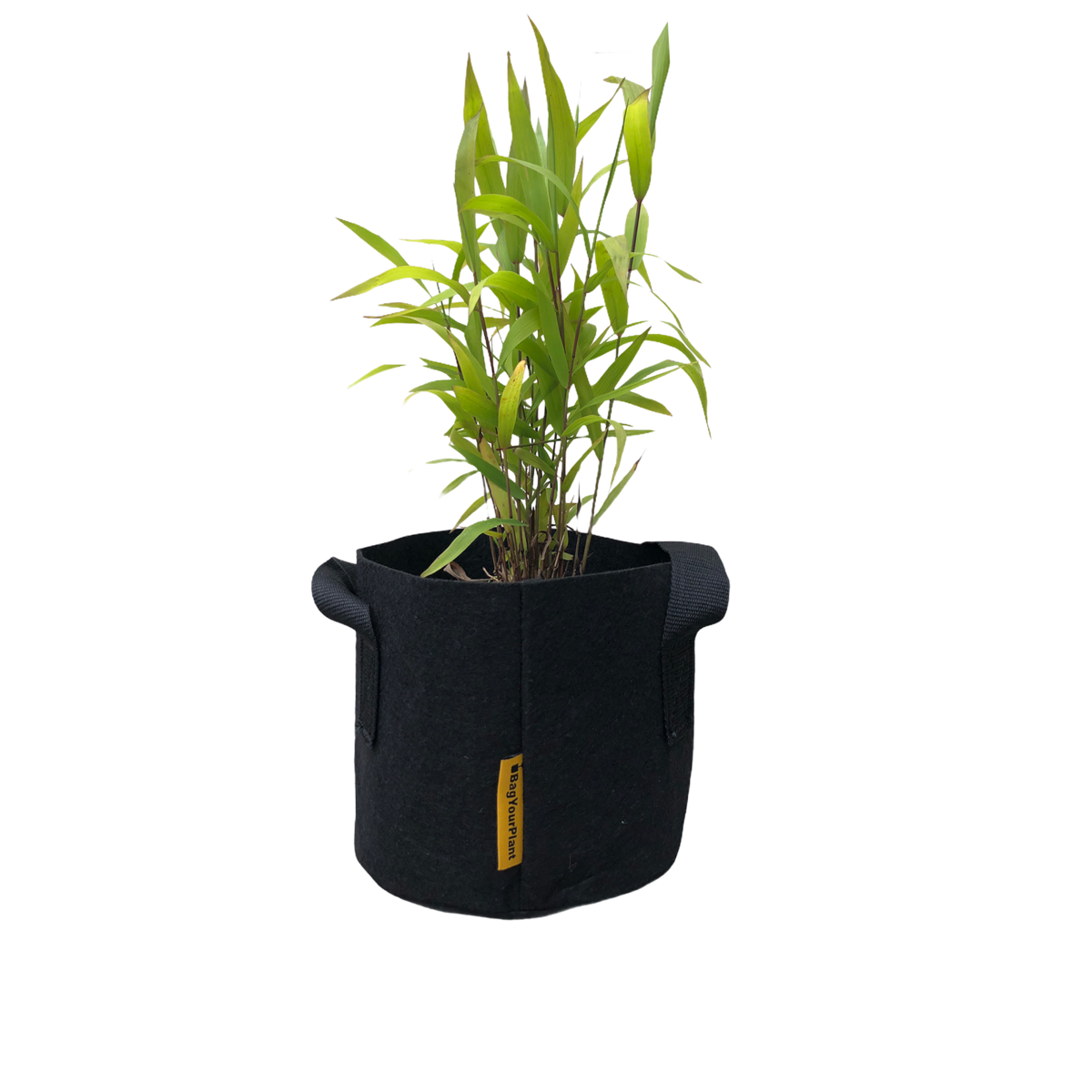 Tasche Schwarz (S)