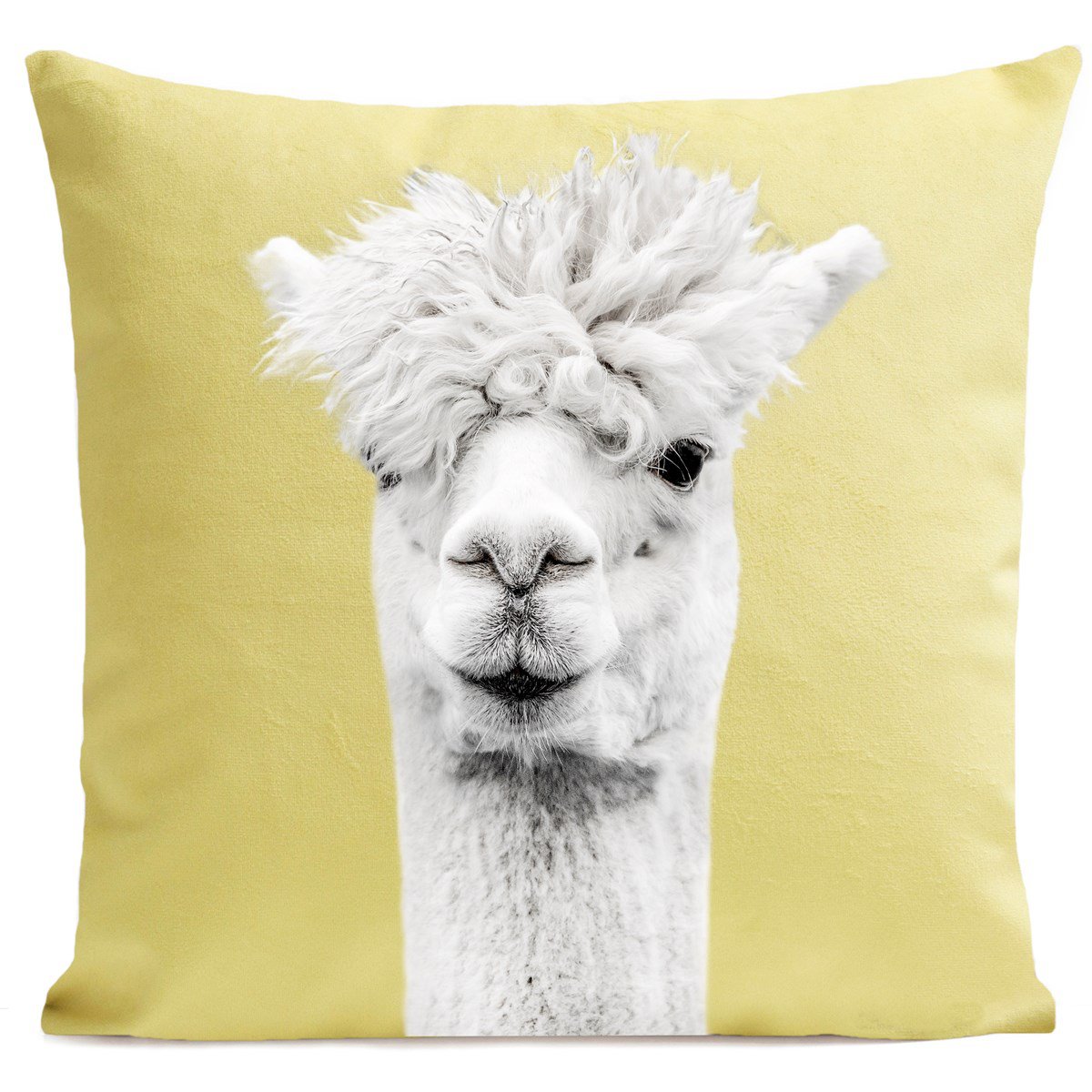Llama cushion, Serge