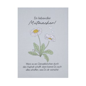 Gänseblümchen-Saat - Ein liebevoller Mutmacher!