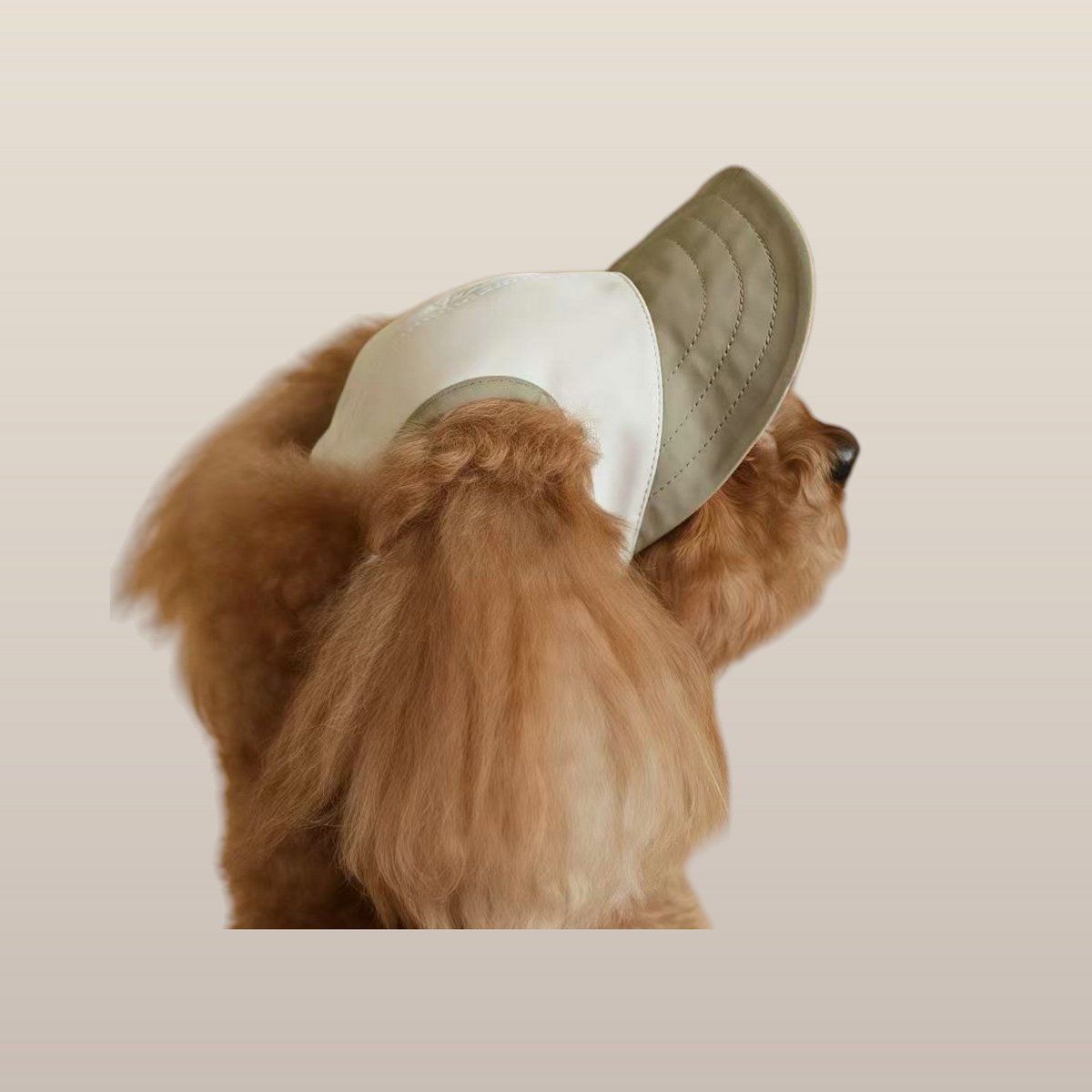 Chalky Hat - Protección contra rayos UV y lluvia para mascotas - Olive Mist