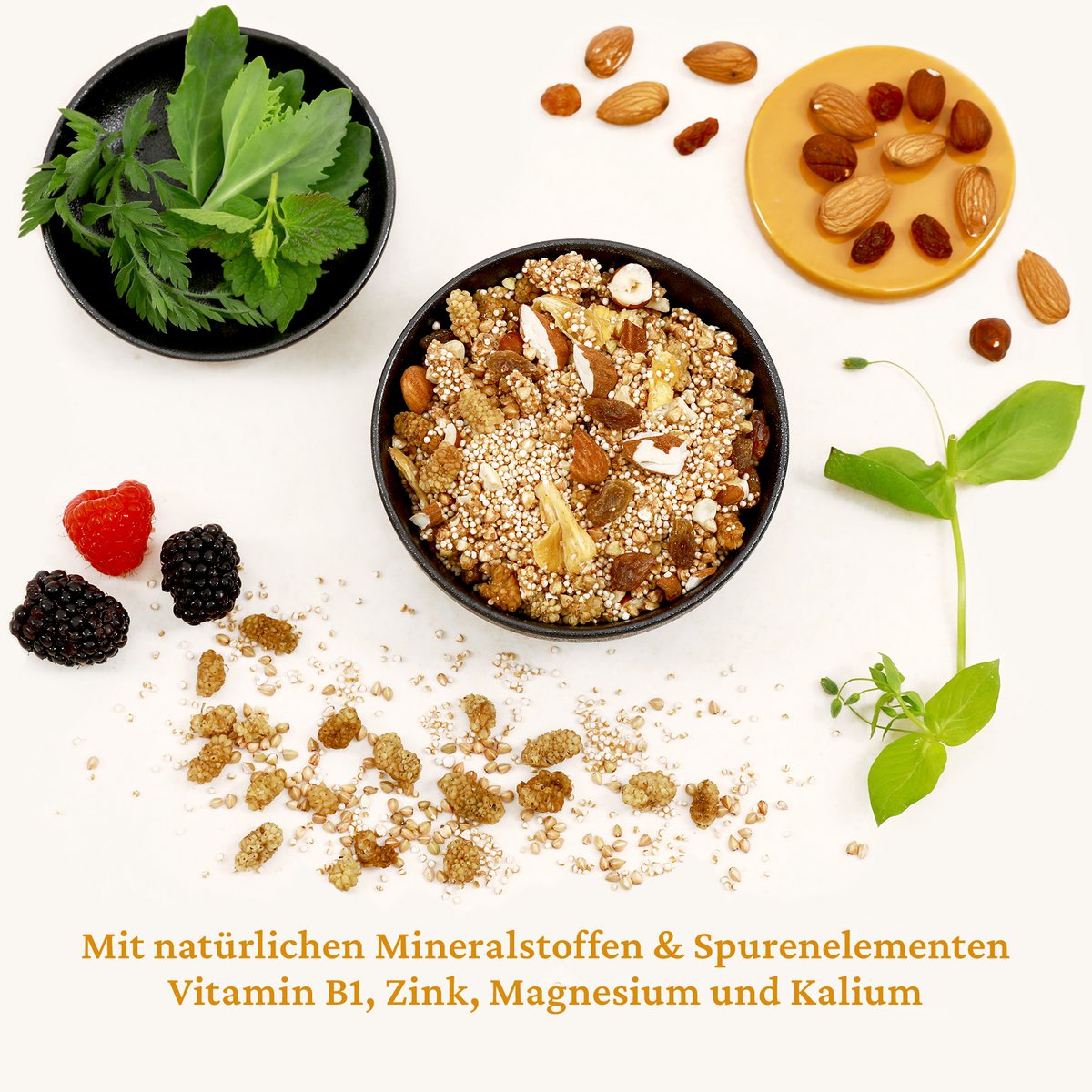 Granola Sport Pur