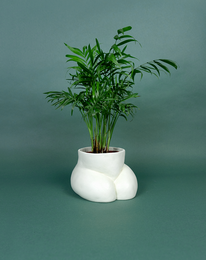 CACHE POT - GROßE BUMPER
