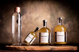 SHOGGA (200 ml) – Organic and French premium ginger drink!