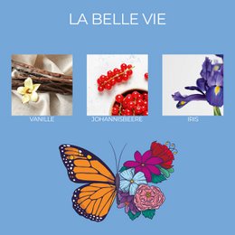 Duftlys Frida Kahlo La belle vie - 400g
