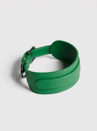 Bright green pet collar with arch-shaped design, available in extra small, small, medium, and large sizes.
