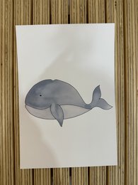 Sea animals poster