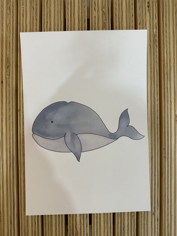 Sea animals poster