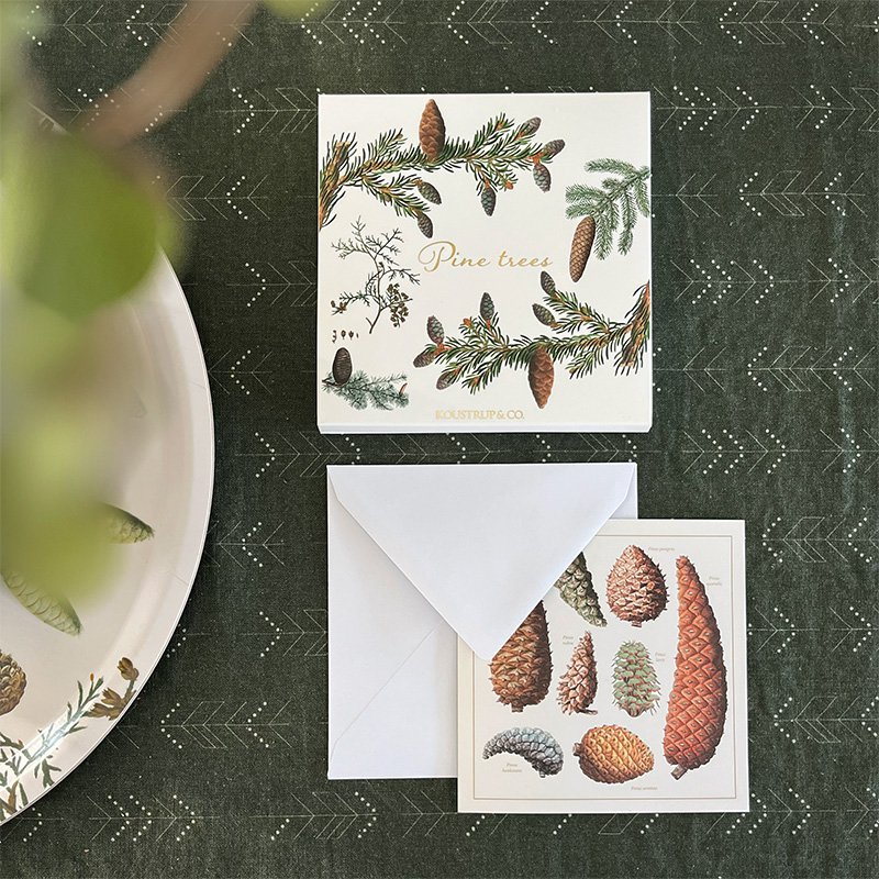 Pine trees - Square cardfolder w/ 8 cards and envelopes