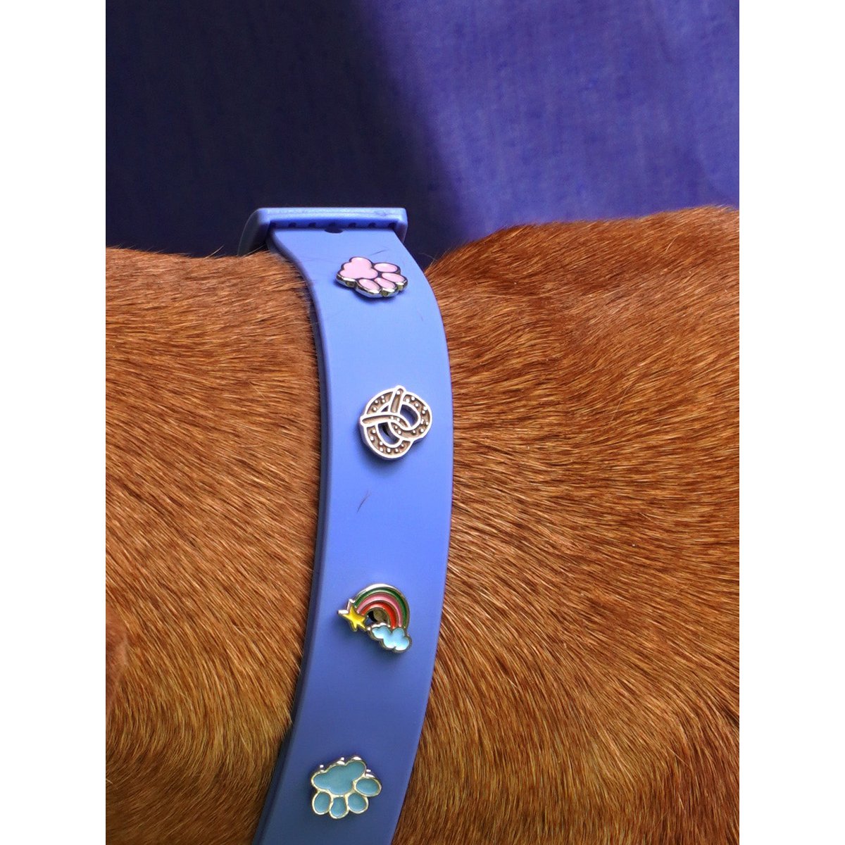 Paw Dog Collar vedhæng