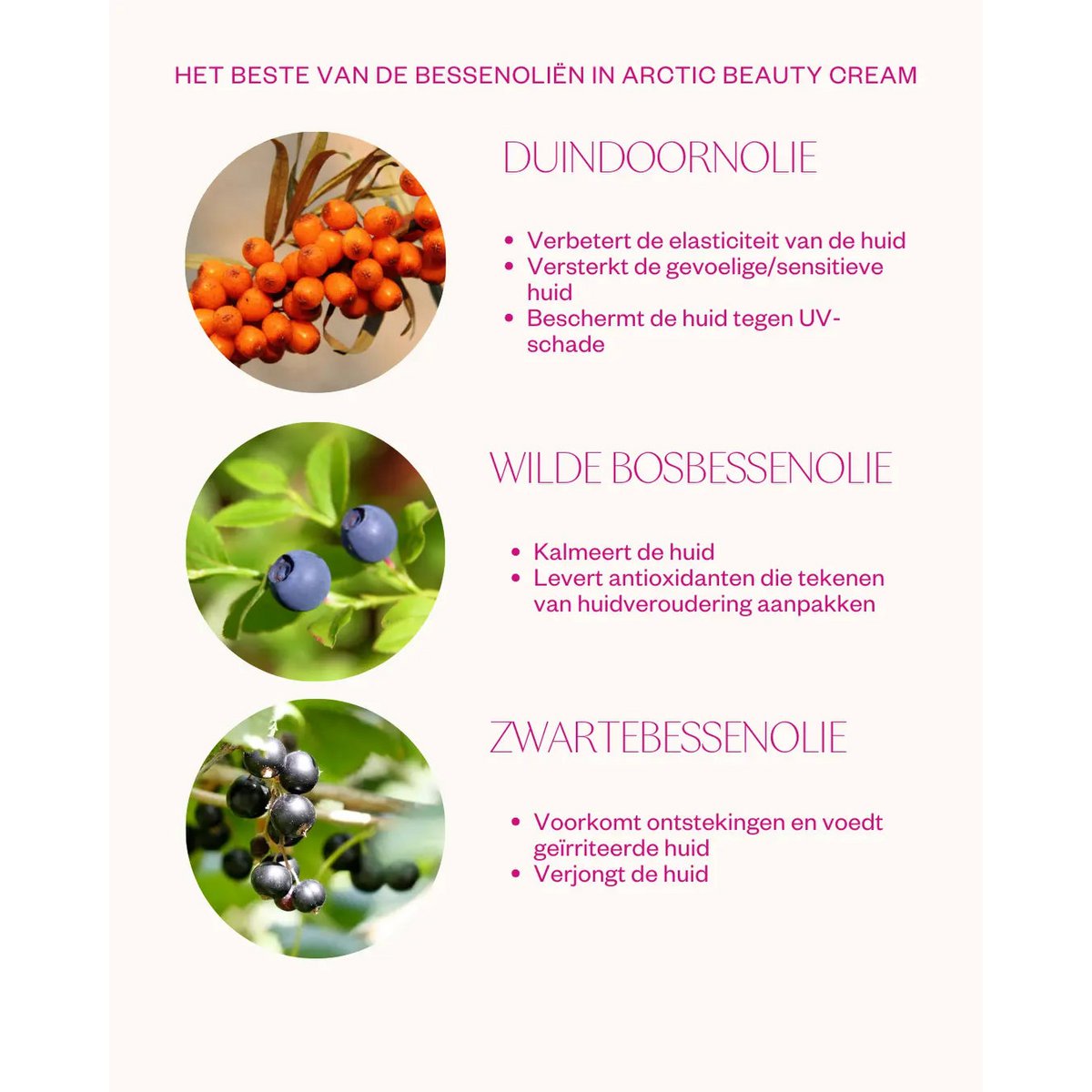 Cream for dry skin - Arctic Beauty Cream