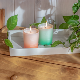 JOIK Home & Spa Home & Spa - Świeca zapachowa Morela i Frezja - 150 gr