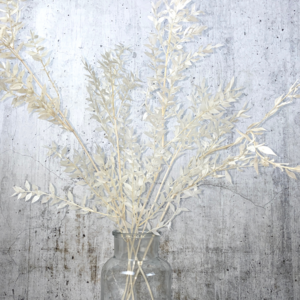 Pampas grass Ruscus white 5 stems
