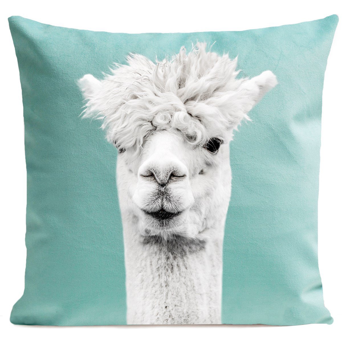 Llama cushion, Serge