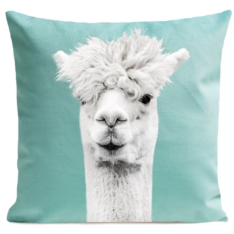 Lama-pude, Serge
