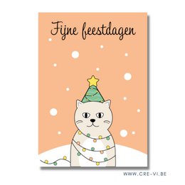 Fest kat