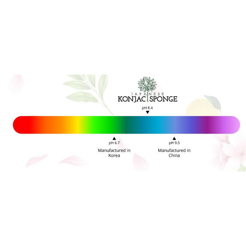 Spugna detergente Konjac biologica per neonati