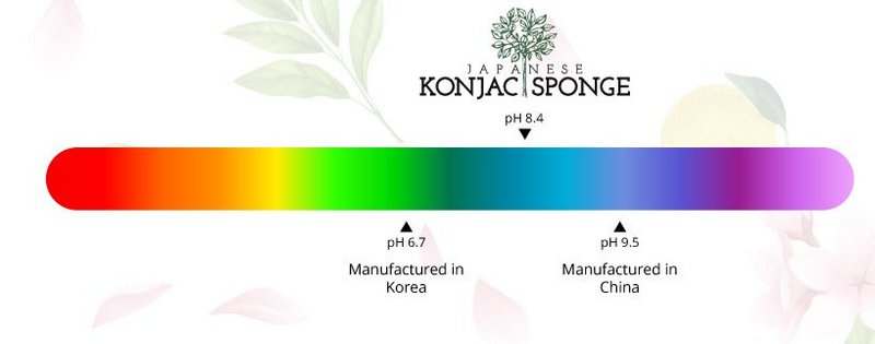 Esponja limpiadora Konjac ecológica para bebés