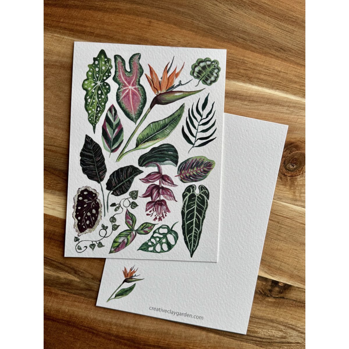 Postcard 'Houseplants'