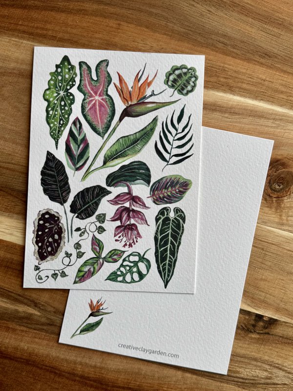 Postcard 'Houseplants'