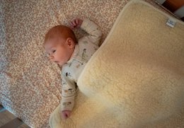 100% merino ønsker decs