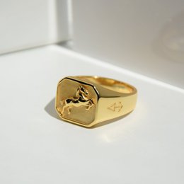 Ring DARK HORSE | 925 silver