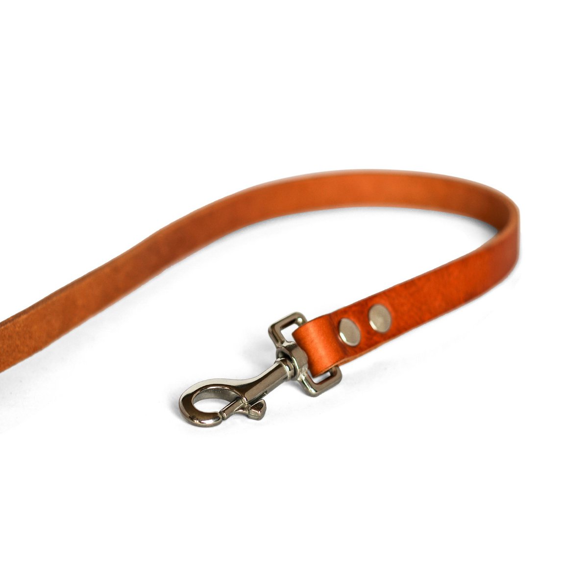 Ingen Fuss Dog Leash | Kamel