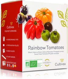 CULTIVEA® økologisk* tomatfrøsæt til plantning – 5 gamle og farverige sorter – Oksehjertetomat, ananastomat, grøn zebra, sort zebra, Physalis – Komplet tomatkimplantesæt med potter, pastiller og guide