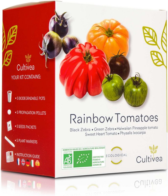 CULTIVEA® økologisk* tomatfrøsæt til plantning – 5 gamle og farverige sorter – Oksehjertetomat, ananastomat, grøn zebra, sort zebra, Physalis – Komplet tomatkimplantesæt med potter, pastiller og guide