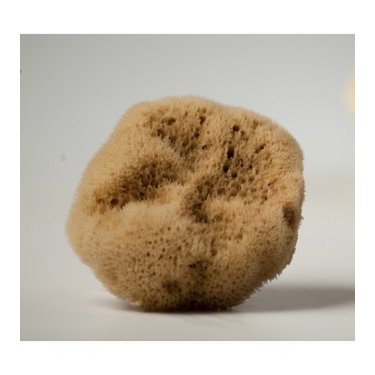 Natural mediterranean BABY fine silk sea sponge 8.50-10 cm from Kalymnos Island