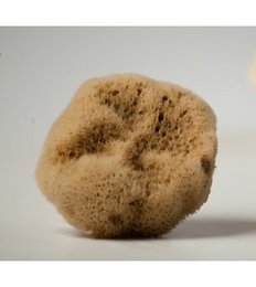Natürlicher mediterraner BABY-Meeresschwamm aus feiner Seide 8,50-10 cm von der Insel Kalymnos