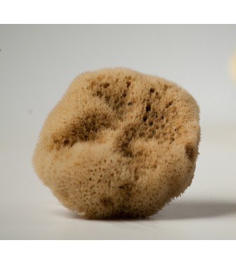 Natural mediterranean BABY fine silk sea sponge 8.50-10 cm from Kalymnos Island