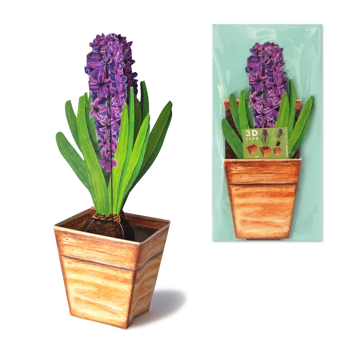 3D blomsterkort hyacint