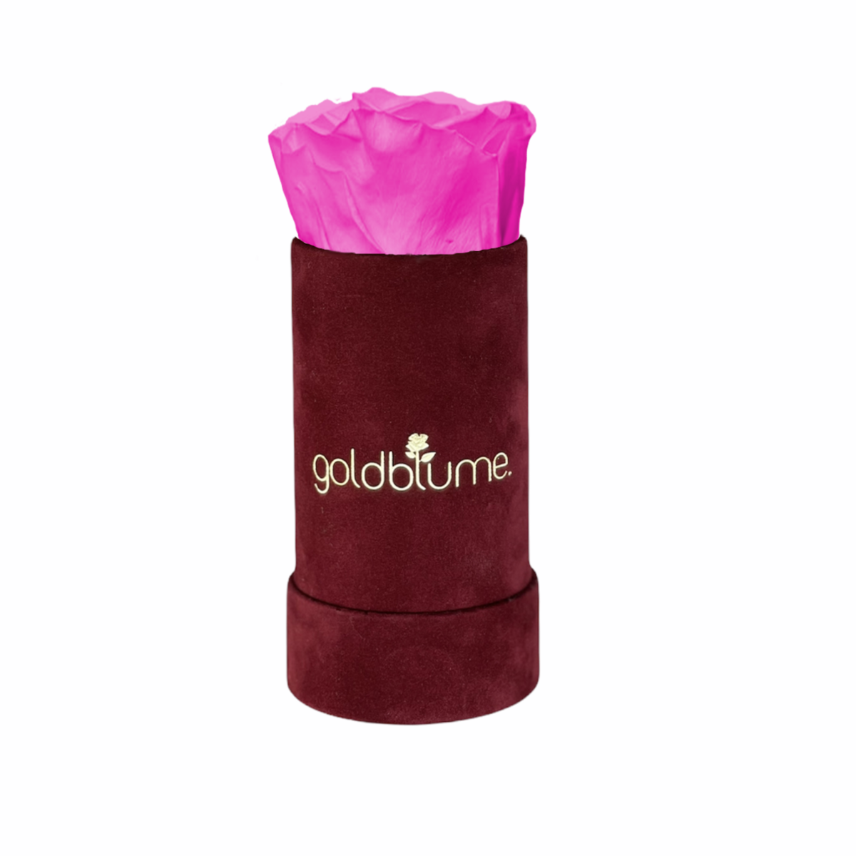 Collection Velours Bordeaux